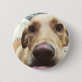 Golden Lab 6 Cm Round Badge