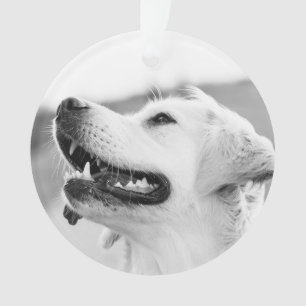 Golden Lab customisable Christmas Ornament