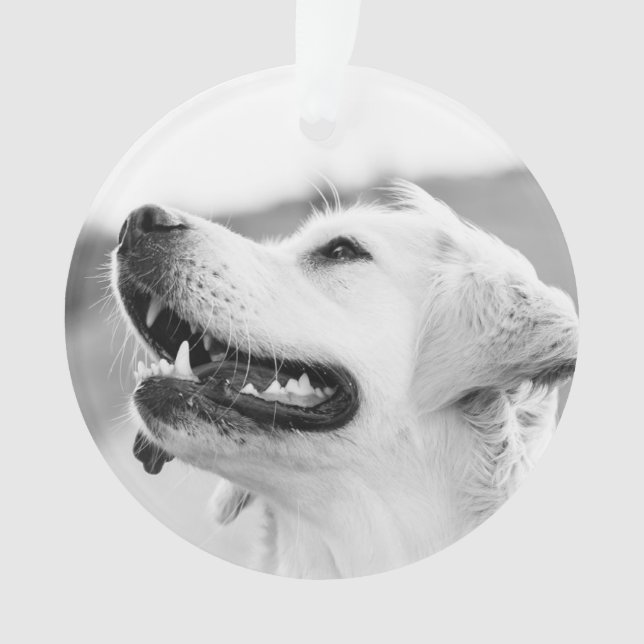 Golden Lab customisable Christmas Ornament (Front)