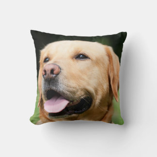 Golden Lab - the Soul of a Dog Cushion