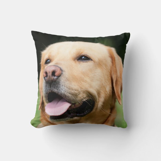 Golden Lab - the Soul of a Dog Cushion (Front)