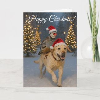 Golden Labrador and Partridge Christmas card