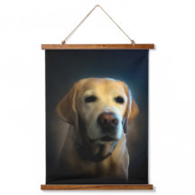 Golden Labrador