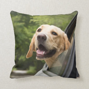 Golden Labrador In Rearview Mirror Cushion