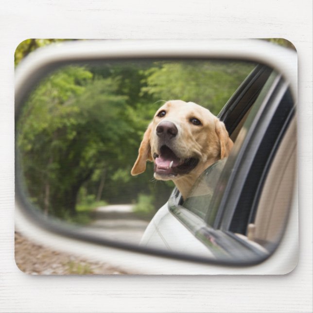 Golden Labrador In Rearview Mirror Mouse Mat (Front)