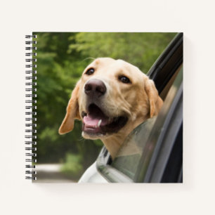 Golden Labrador In Rearview Mirror Notebook