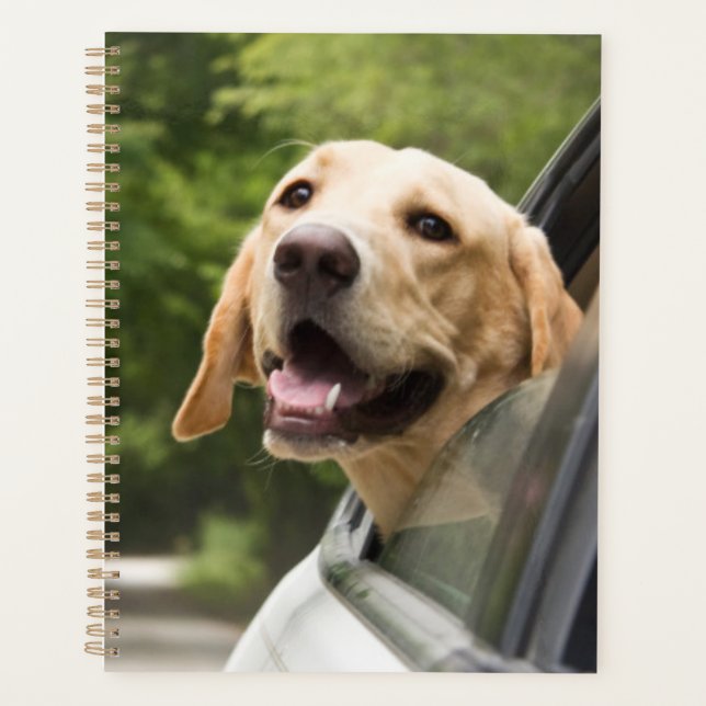 Golden Labrador In Rearview Mirror Planner (Front)