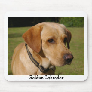 Golden Labrador Mouse Mat