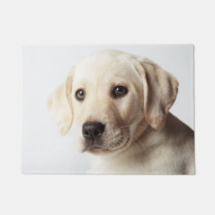 Golden Labrador Puppy Closeup Doormat