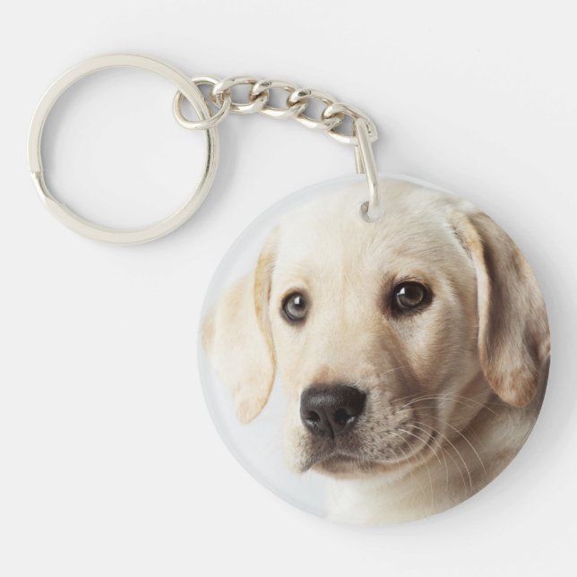 Golden Labrador Puppy Closeup Key Ring (Front)