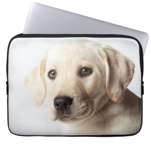 Golden Labrador Puppy Closeup Laptop Sleeve