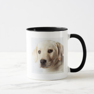 Golden Labrador Puppy Closeup Mug