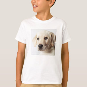 Golden Labrador Puppy Closeup T-Shirt