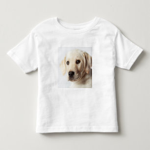 Golden Labrador Puppy Closeup Toddler T-Shirt