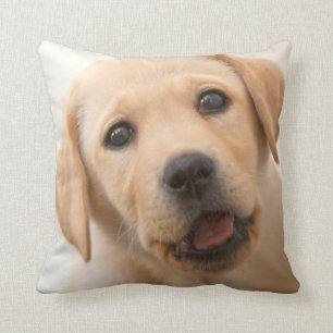 Golden Labrador Puppy Cushion