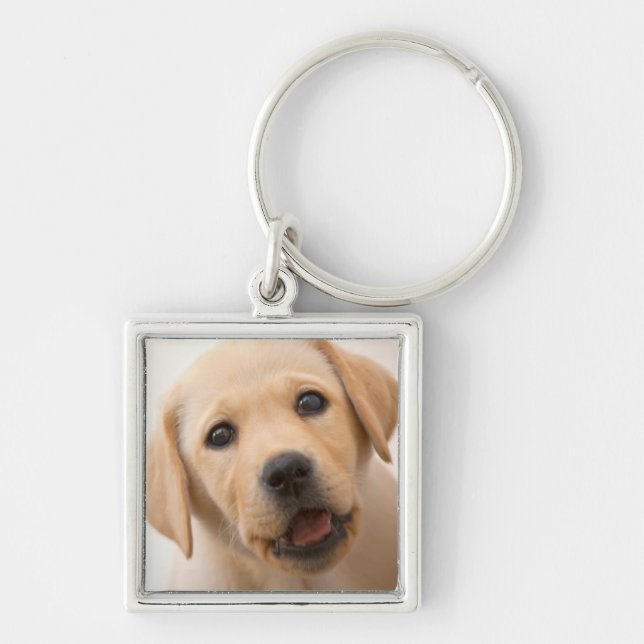 Golden Labrador Puppy Key Ring (Front)