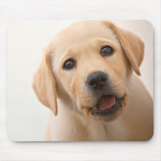 Golden Labrador Puppy Mouse Mat (Front)