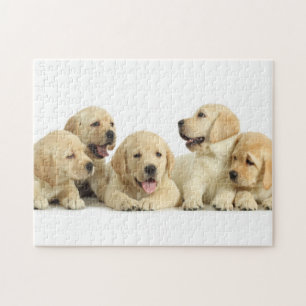 Golden Labrador Puppy Pile Jigsaw Puzzle