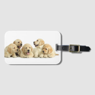 Golden Labrador Puppy Pile Luggage Tag