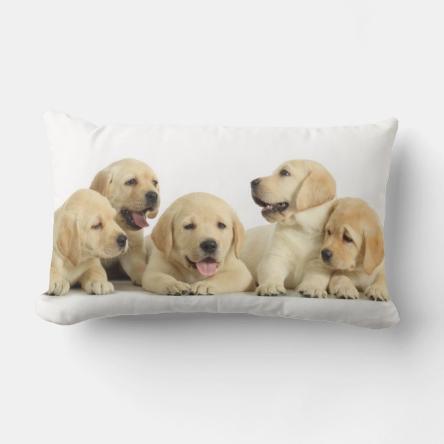 Golden Labrador Puppy Pile Lumbar Cushion (Front)
