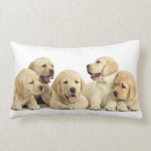 Golden Labrador Puppy Pile Lumbar Cushion