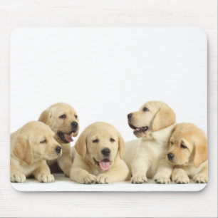 Golden Labrador Puppy Pile Mouse Mat