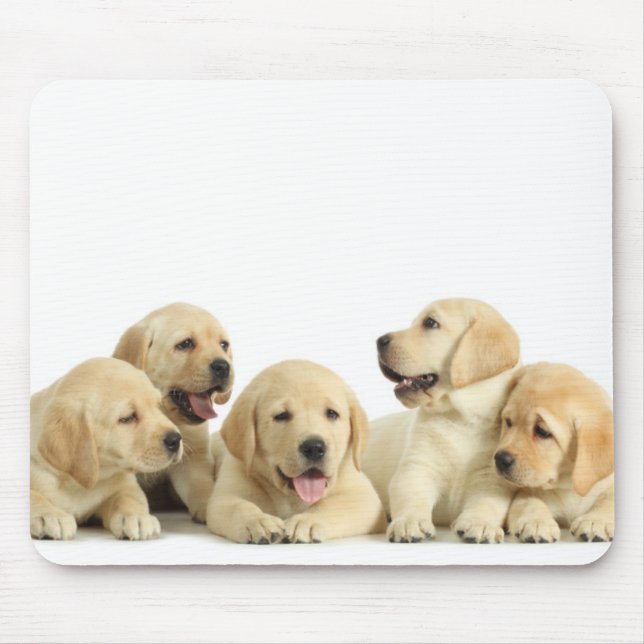 Golden Labrador Puppy Pile Mouse Mat (Front)