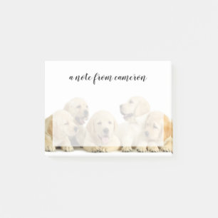 Golden Labrador Puppy Pile Post-it Notes