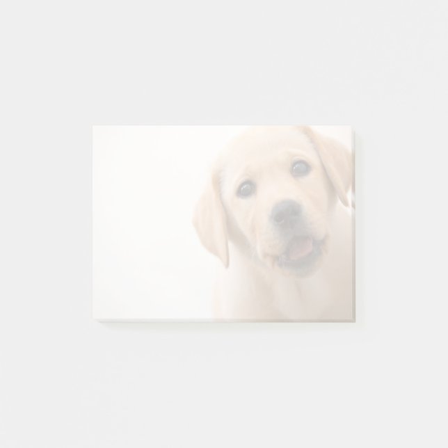 Golden Labrador Puppy Post-it Notes (Front)