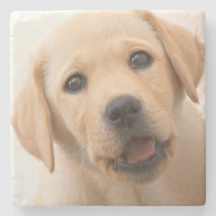Golden Labrador Puppy Stone Coaster
