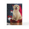 Golden Labrador Retriever Christmas Cards
