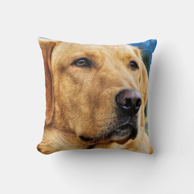 Golden Labrador Retriever Cushion (Front)