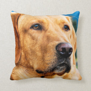 Golden Labrador Retriever Cushion