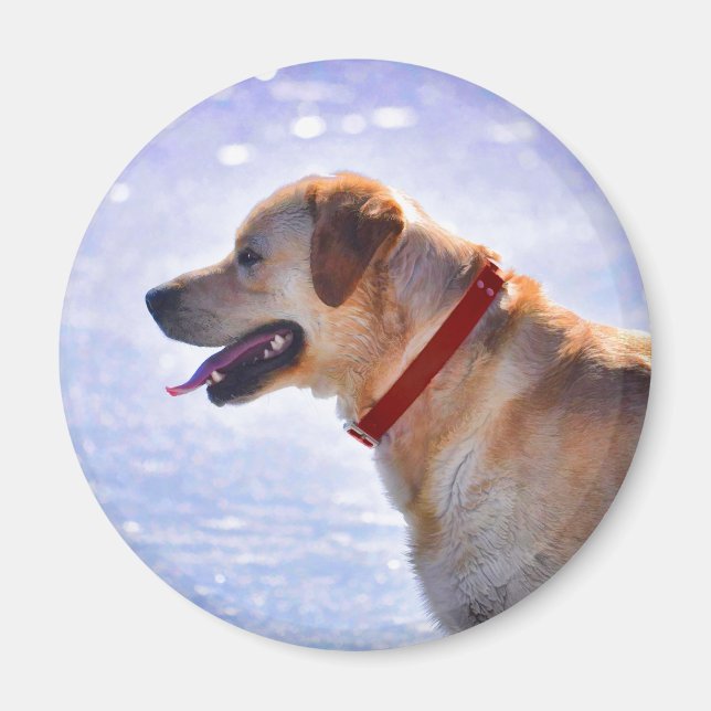 Golden Labrador Retriever Dog-lover Gift Magnet (Front)