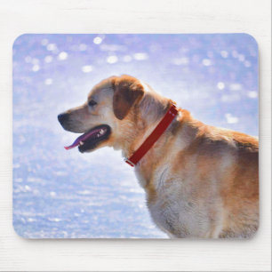 Golden Labrador Retriever Dog-lover Gift Mouse Mat