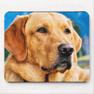 Golden Labrador Retriever Mouse Mat