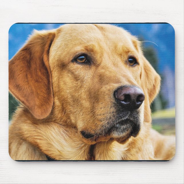 Golden Labrador Retriever Mouse Mat (Front)