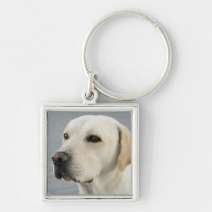 Golden Labrador Retriever Photograph Key Ring