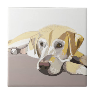 Golden Labrador  Tile