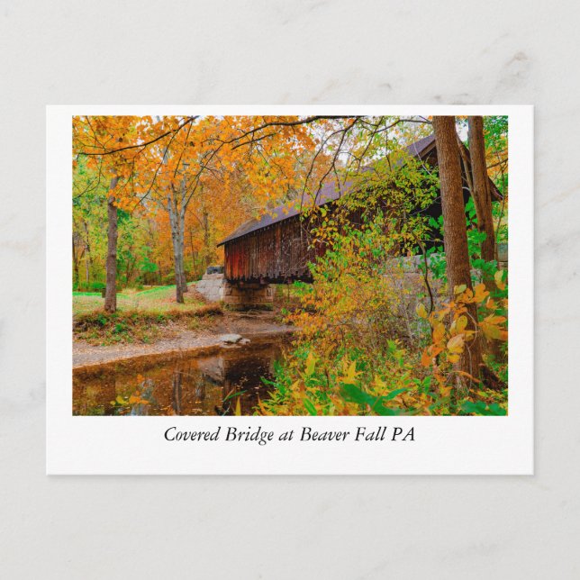 Golden Leaves and Timeless Beauty: Beaver Falls PA Postcard (Front)