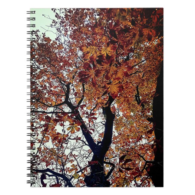 Golden leaves notebook (Front)