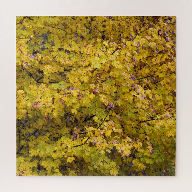 Golden Leaves of Fall - 20x20 inch Jigsaw Puzzle (Vertical)
