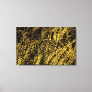 Golden Light Grass Canvas Print