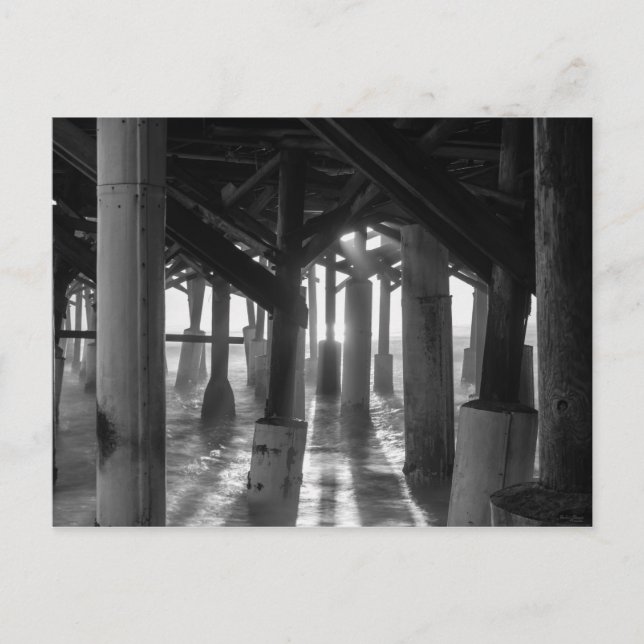 Golden Light Shines Through Grayscale Postcard (Front)