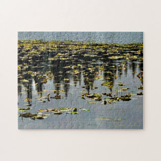 Golden Lily Pads Jigsaw Puzzle