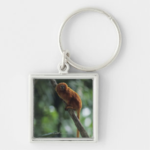 Golden lion tamarin (Leontopithecus rosalia) Key Ring