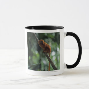 Golden lion tamarin (Leontopithecus rosalia) Mug