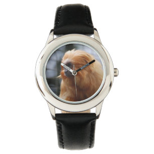 Golden Lion Tamarin Monkey Watch