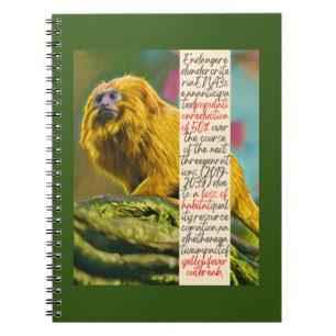 Golden Lion Tamarin Spiral Notebook