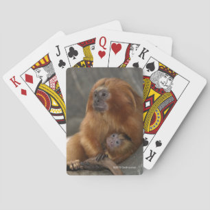 Golden Lion Tamarin with Baby Playing Cards